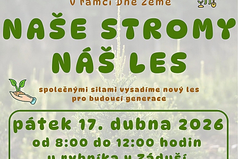 Ve Rtyni vysadí nový les