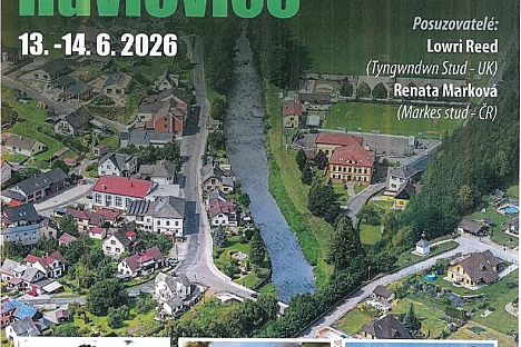 Milovníci rychlých kopyt míří do Havlovic
